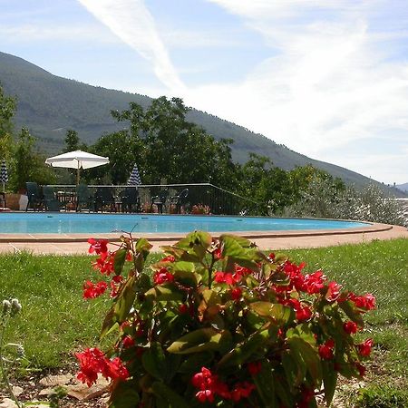 Agriturismo I Mandorli Trevi Extérieur photo